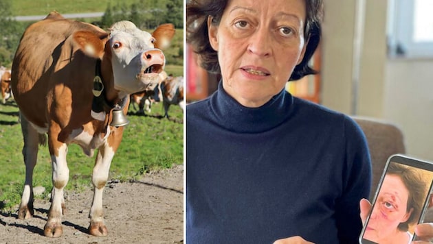 Petra M.'s face was also seriously injured in the cow attack. (Bild: Christof Birbaumer, Familie M.)