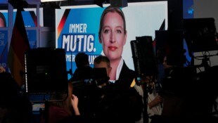 Unter Alice Weidel erlebte die Partei einen Aufschwung.