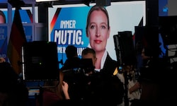 Unter Alice Weidel erlebte die Partei einen Aufschwung.