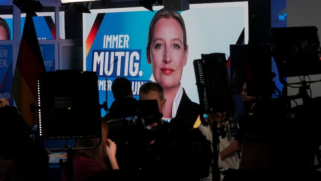 Unter Alice Weidel erlebte die Partei einen Aufschwung.