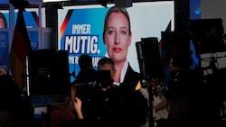 Unter Alice Weidel erlebte die Partei einen Aufschwung.