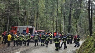 Großangelegte Suchaktion rund um den Hirschberg.  (Bild: Maurice Shourot)