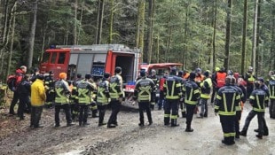 Großangelegte Suchaktion rund um den Hirschberg.  (Bild: Maurice Shourot)