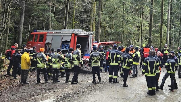 Großangelegte Suchaktion rund um den Hirschberg.  (Bild: Maurice Shourot)