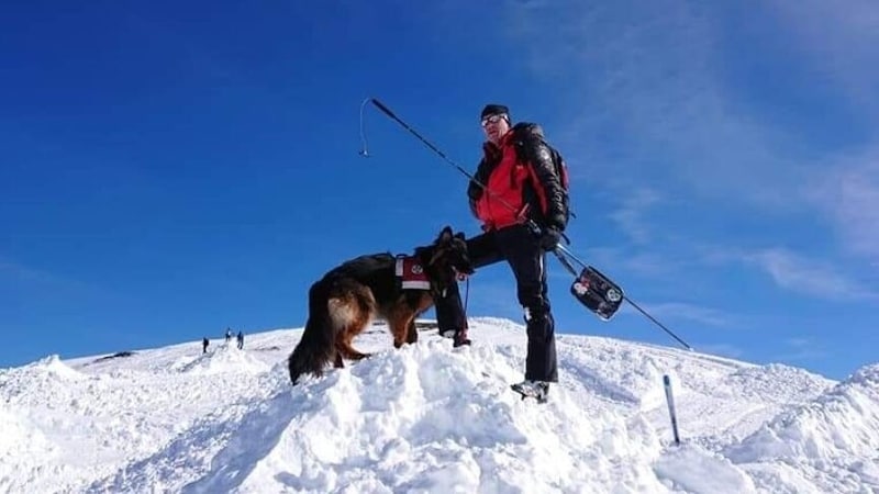 Lawinenhund „Ella“ bei ihrer eigentlichen Arbeit. (Bild: Hundestaffel Landeck)