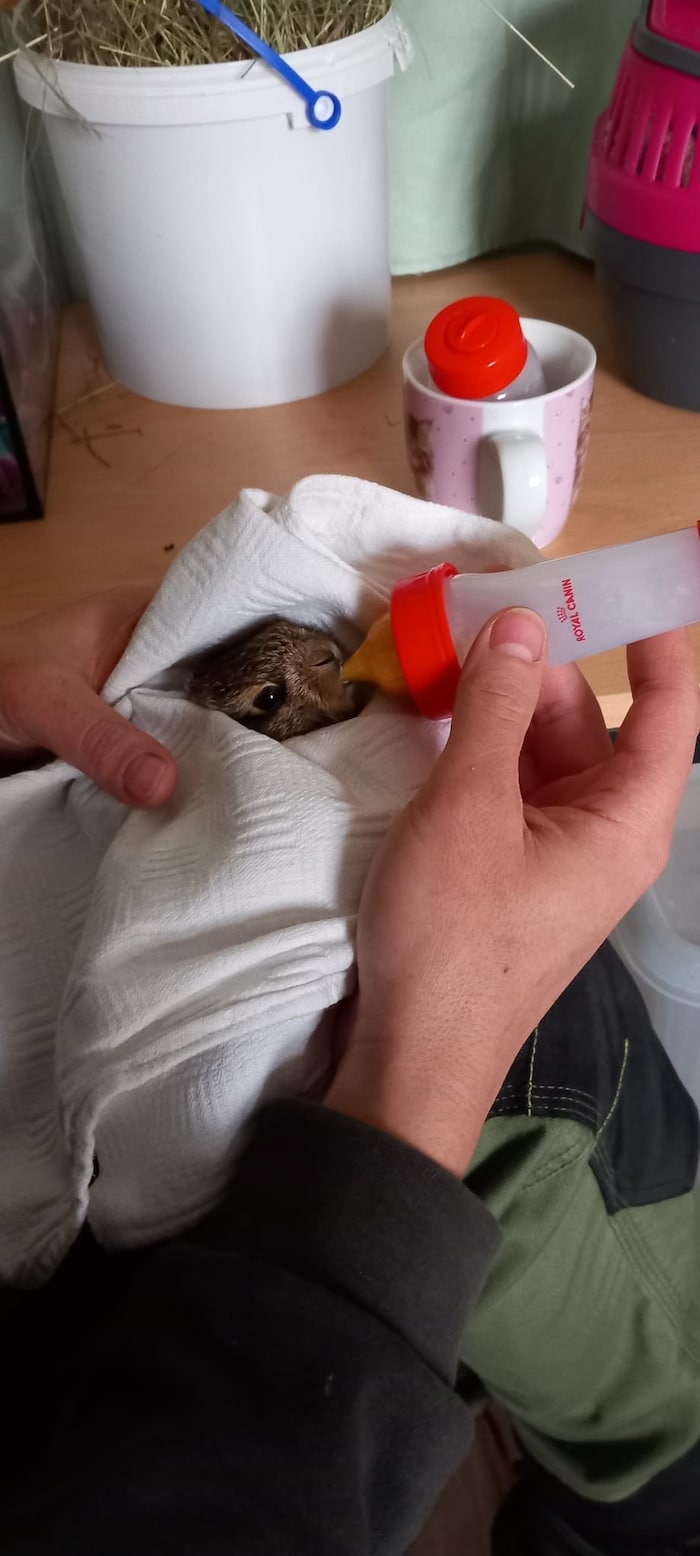 Simon first has to get used to the unfamiliar bottle feeding.