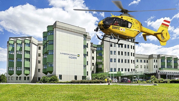 Mit dem Christophorus-Hubschrauber wurde Annemarie W. von Horn zur lebensrettenden Operation nach Ottakring geflogen. (Bild: Krone KREATIV/LGA)