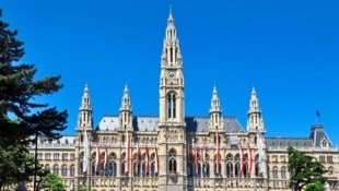 Wie investiert die Stadt Wien jährlich 20 Milliarden Euro und wo könnte man einsparen? (Bild: photo 5000 - Fotolia)