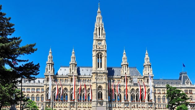 Wie investiert die Stadt Wien jährlich 20 Milliarden Euro und wo könnte man einsparen? (Bild: photo 5000 - Fotolia)