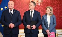 Steht hier die politische Zukunft Österreichs?