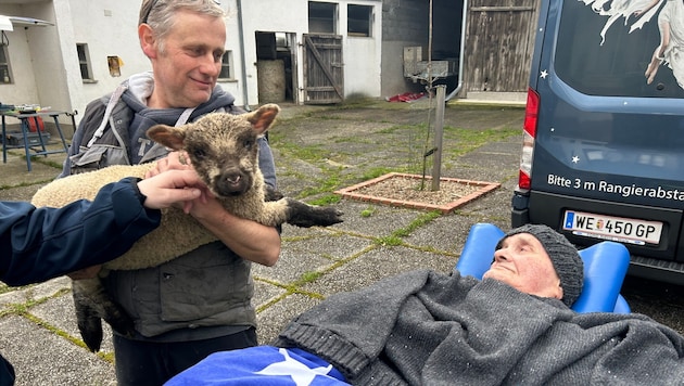 The seriously ill Johann was allowed to stroke a young ram (Bild: Rollende Engel)