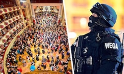 Tausende Besucher werden auch heuer beim Ball der Bälle in der Wiener Staatsoper erwartet.