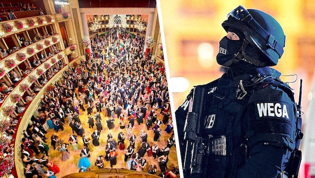 Thousands of visitors are expected again this year at the Ball of Balls in the Vienna State Opera. (Bild: Krone KREATIV/EPA/Christian Bruna, Andreas Tischler)