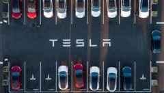 Teslas Absatz in Europa sank im Jänner um 45 Prozent. (Bild: JOSH EDELSON)