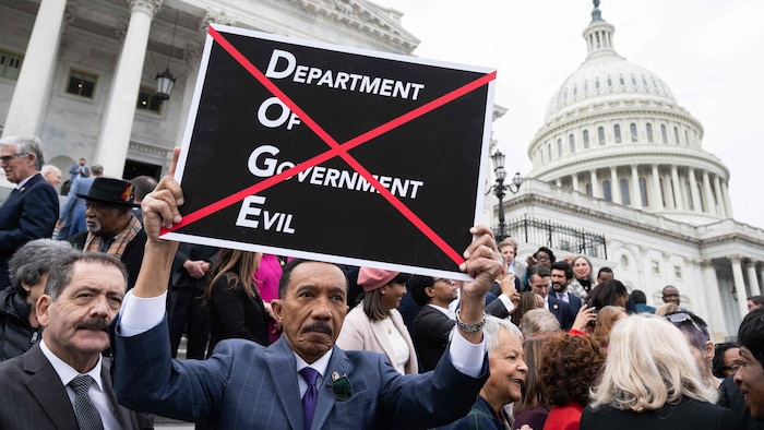 DOGE steht für das Department of Government Efficiency, eine von Präsident Donald Trump im ...