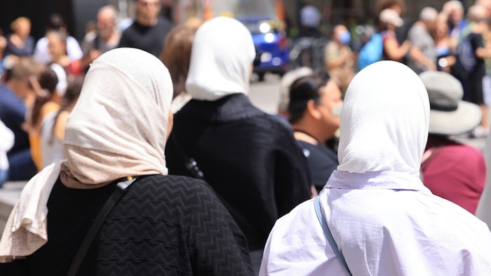 Karl Mahrer kritisiert Wiens Integrationspolitik