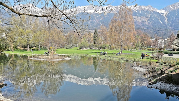 Der Rapoldipark in Innsbruck ist ein konsumfreier Ort, wo sich Jugendliche treffen können (Bild: Birbaumer Christof)