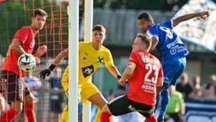 Wildon um Goalie Marvin Wieser kämpft um den Verbleib in der dritthöchsten Spielklasse. (Bild: GEPA)