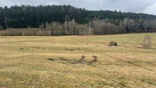 Radspuren zeigen noch, wo der Kastenwagen herumschlitterte