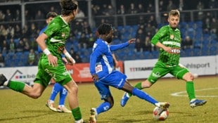 Auf Pius Grabher &amp; Co. kommt gegen St. Pölten viel Arbeit zu.