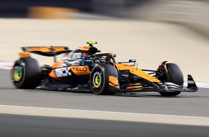 Lando Norris