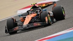 Lando Norris (Bild: AFP/GIUSEPPE CACACE)