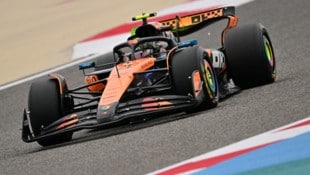 Lando Norris (Bild: GIUSEPPE CACACE)