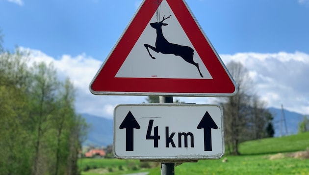 Wildlife crossing, falling rocks and other signs are currently missing on some roads in the Völkermarkt district: the signs have been taken by thieves. (Bild: Wassermann Kerstin)