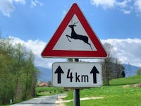 Wildwechsel, Steinschlag und andere Schilder fehlen derzeit auf einigen Straßen im Bezirk ...