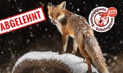 21.466 Unterstützer vor den Kopf gestoßen. 