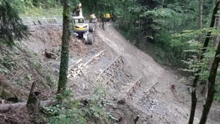 Zahlreiche bauliche Maßnahmen sollen vor Murenabgängen und Hangrutschungen schützen. (Bild: Stadt Hohenems)