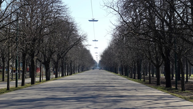 Zu dem brutalen Zwischenfall ist es am Mittwoch im Wiener Prater gekommen (Symbolbild). (Bild: theobliqueview - stock.adobe.com)