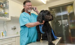 Tierarzt Stefan Steinhauser ist nur am Handy erreichbar