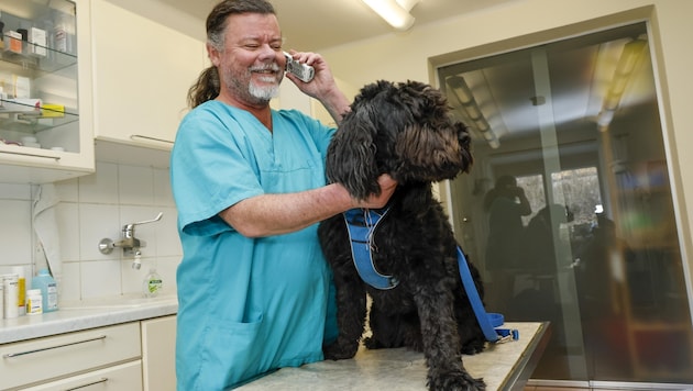 Tierarzt Stefan Steinhauser ist nur am Handy erreichbar (Bild: Markus Tschepp)