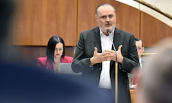 Doskozil traut dem Zuckerl nicht über den Weg.