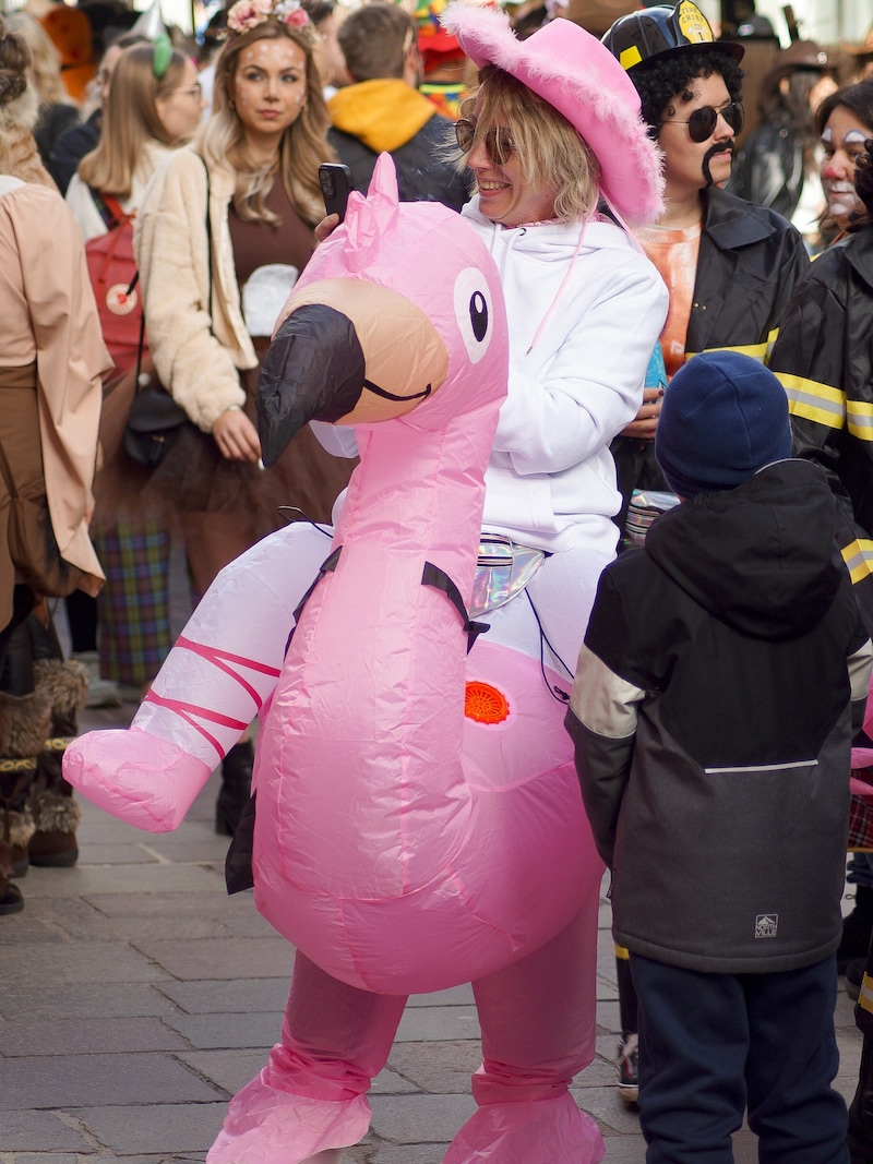 Ein Cowgirl ritt sogar auf einem Flamingo durch die Innenstadt. (Bild: Christian Forcher/Fotoworxx)