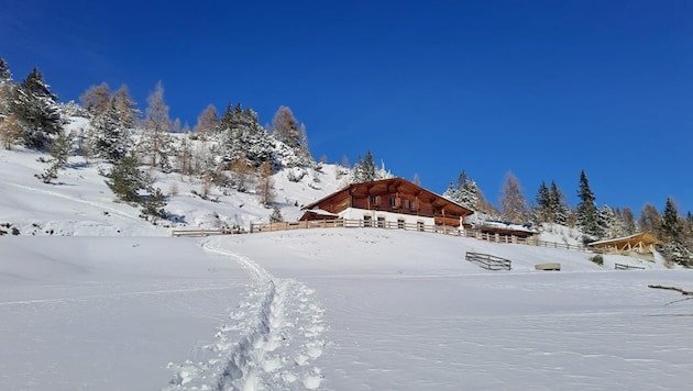 Sonnig auf einem freien Rücken liegt die Simmering Alm. (Bild: Birgit Simmering Alm)