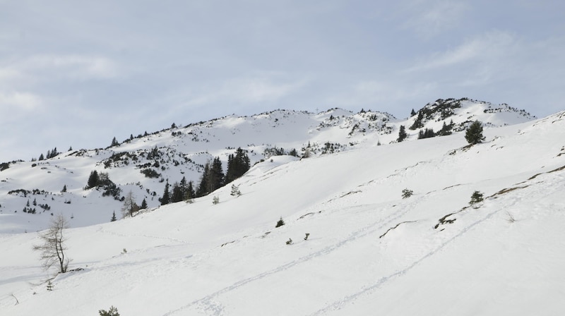 Etwas über der Alm befindet sich in Verlängerung des Bergkamms der Gipfel des Simmering (Bild: Peter Freiberger)