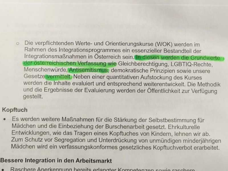 Gleichberechtigung, LGBTIQ-Rechte, Antisemitismus.  (Bild: Kronen Zeitung)