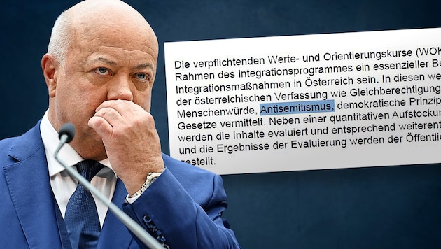 The embarrassing error in the 210-page document (Bild: Krone KREATIV/APA, Krone)