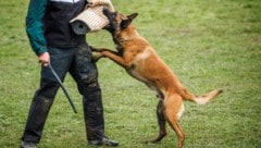 Das Verbot des privaten Schutzhundetrainings wurde wieder aufgehoben. Die „Beiß-Lobby“ jubelt, ...