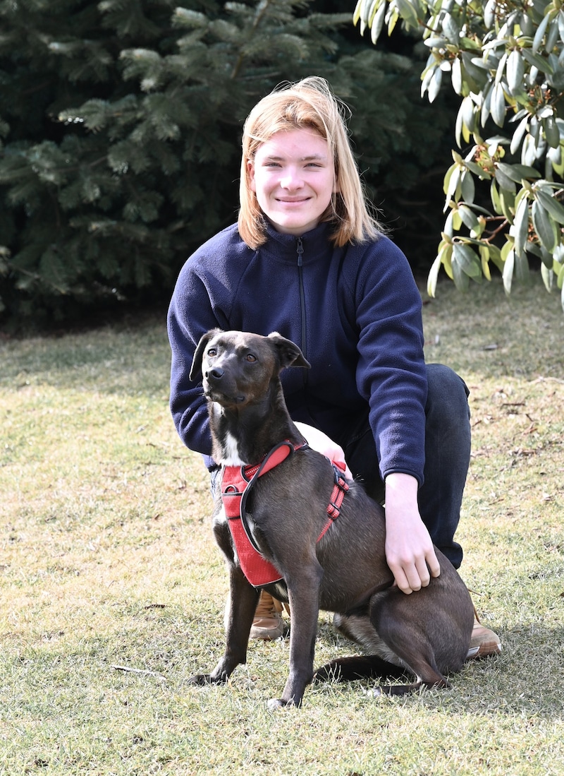 Kraft schöpft Elias Keller bei langen Spaziergängen mit Hund Nala: „Da tank ich Energie!“  (Bild: Evelyn Hronek)