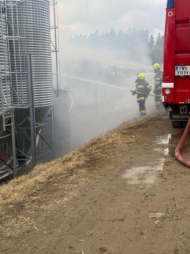 Zwölf Wehren stehen im Einsatz. (Bild: Kuss)