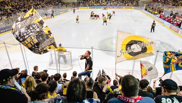 In der kommenden Saison wollen die Caps ihren treuen Fans auch wieder Play-off-Eishockey bieten. (Bild: Urbantschitsch Mario)