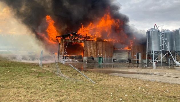 Der Stall ging am Samstag in Flammen auf. (Bild: FF St. Veit/Glan)