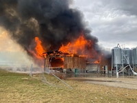 Der Stall ging am Samstag in Flammen auf. (Bild: FF St. Veit/Glan)