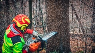 Der 37-jährige Arbeiter musste ins Spital geflogen werden (Symbolbild). (Bild: Wallner Hannes)