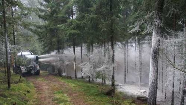 When the magnesium lime is applied, the green nature turns white in a matter of seconds. (Bild: Landesforstdienst)