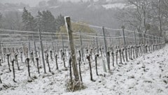 Der Wettersturz mit stürmischen Böen und Schneefall hat Österreich weiterhin fest im Griff. Am ...