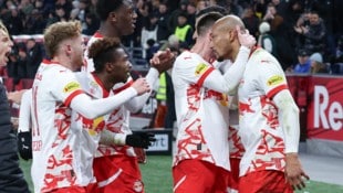 Heimsieg für Red Bull Salzburg (Bild: GEPA)